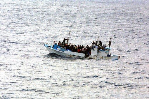 Looking at migration in the face