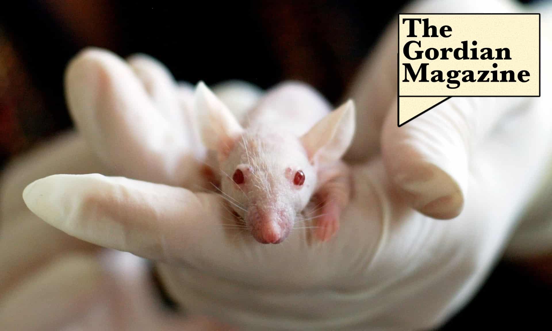 Join the campaign to save cruelty-free cosmetics
