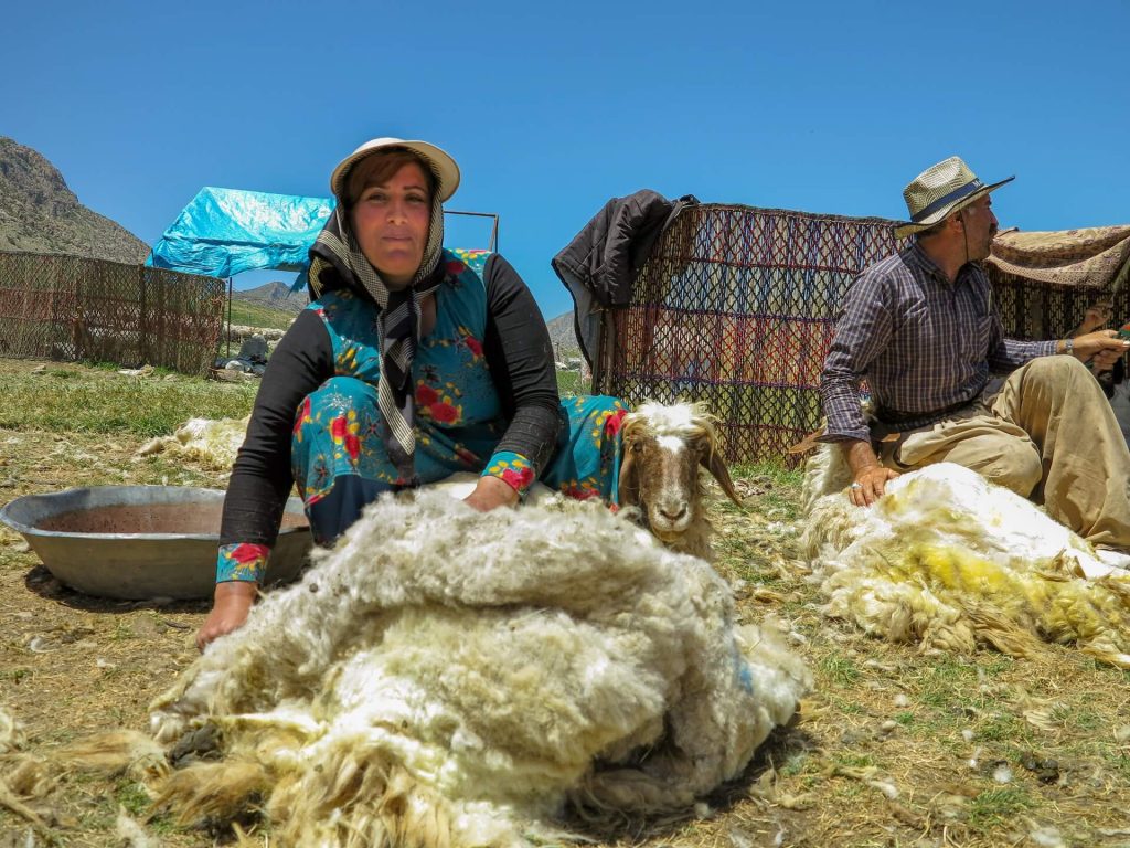 This is photo of a women smiling as she shears sheep.
