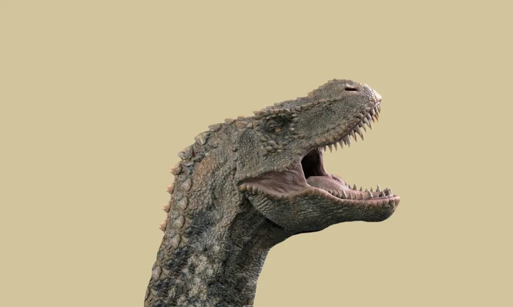 Dinosaurs, The UN, May day celebration, an independent Scotland & ice cream! 5 What does the word dinosaur mean