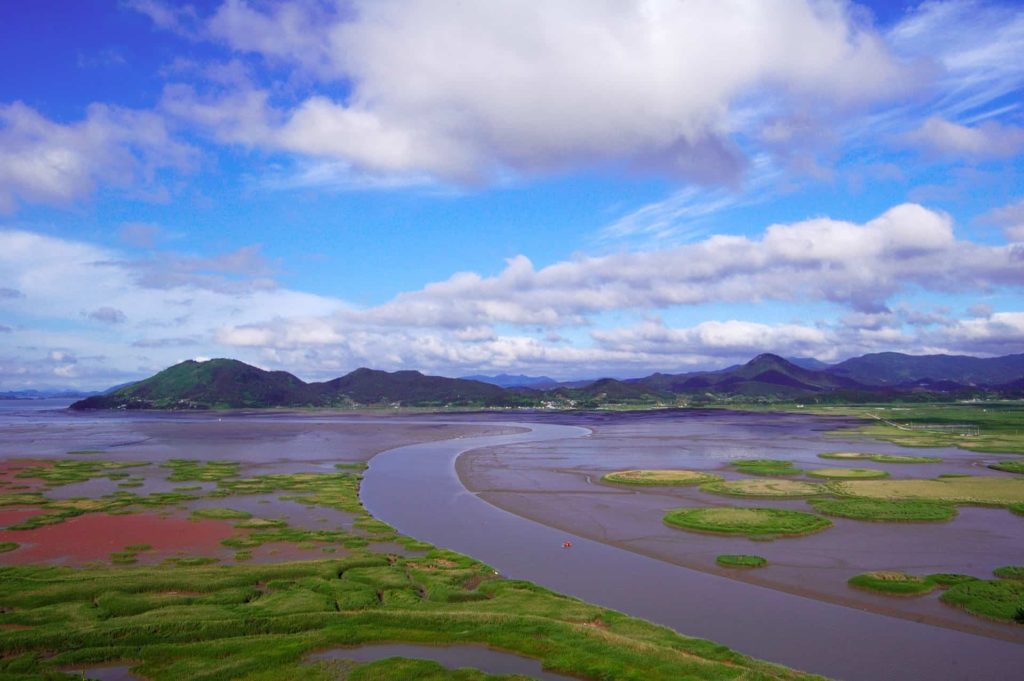 2.2Autumn in Suncheonman Bay