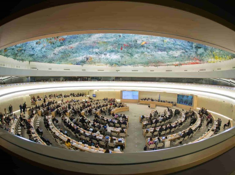 Update on UN aligneds open letter to the United Nations Human Rights Council