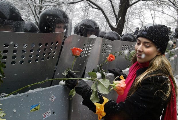orange flowers and The ousting of Yanukovych and the Orange Revolution 2004 2005