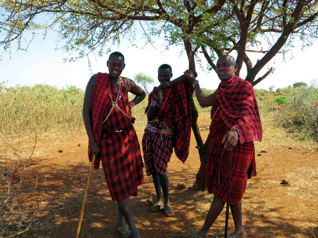 Maasai men in bright red robes with spears in hand 7826