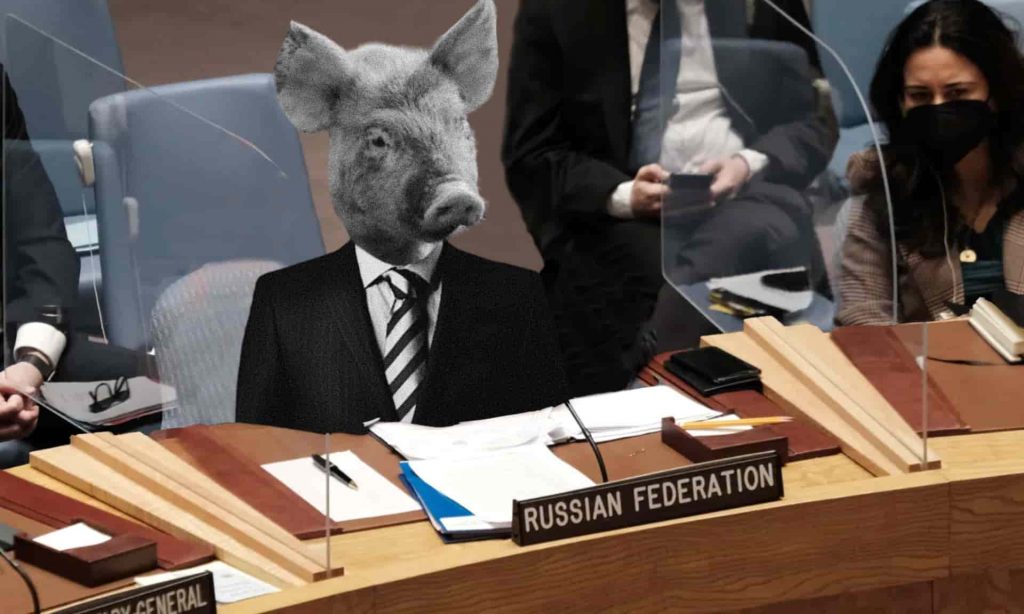 pig sitting in russia's seat at the UNSC