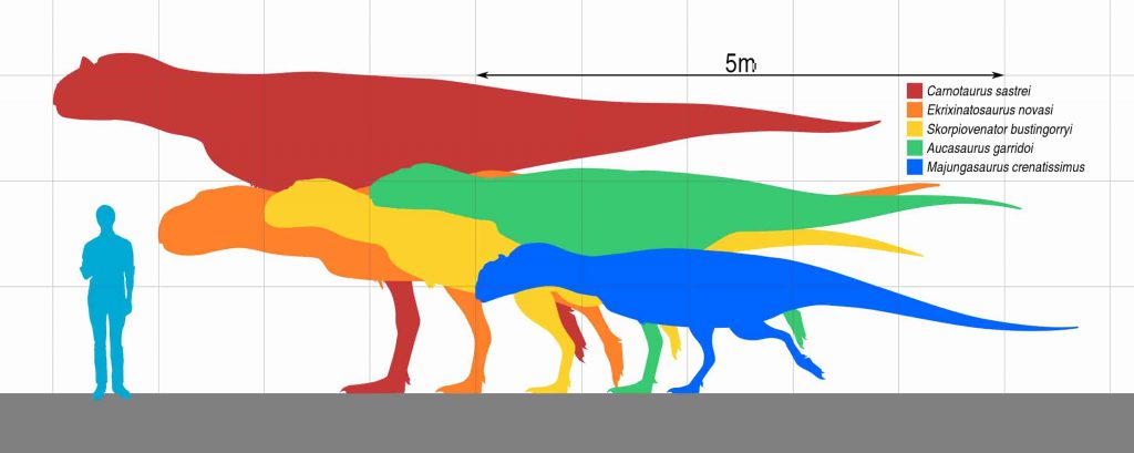 new abelisaurid dinosaur Egypt