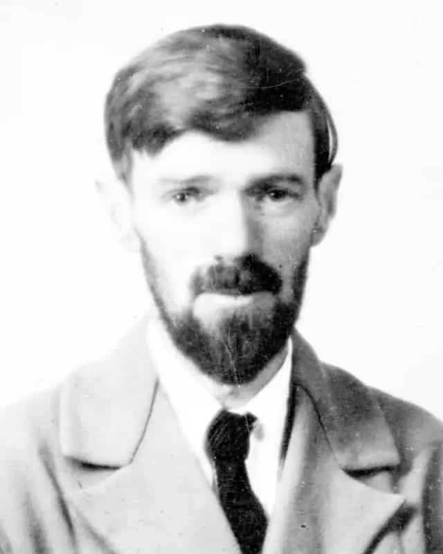 How the age of self-discovery changed the English poetry and novel forever 12 David Herbert Lawrence