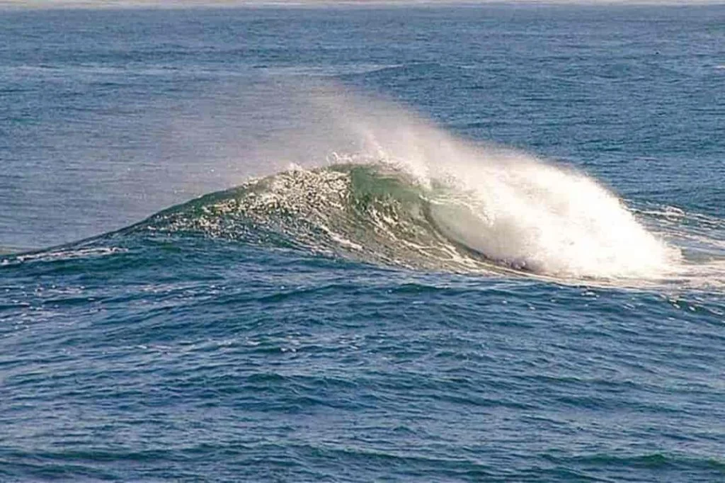 Test your environmental knowledge: How much do you really know about climate, energy, and conservation? 7 energy from oceans